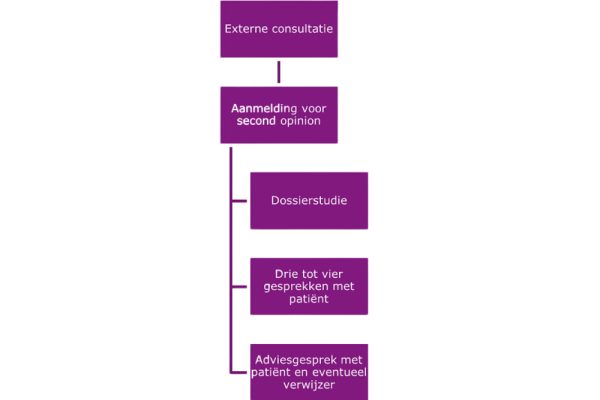 Stroomschema Alkura externe verwijzers